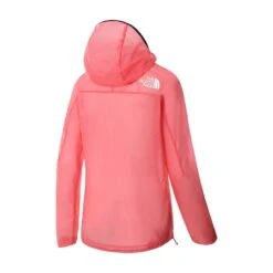 Salomon Boutique -Salomon Boutique main 342821 222745 2 ceed